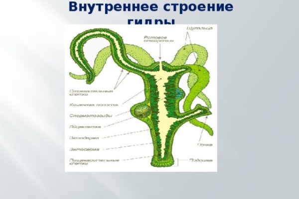 Кракен актуальное зеркало