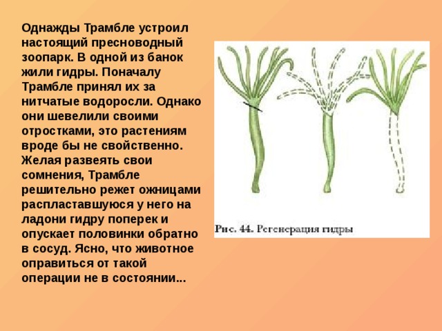 Запрещенный сайт кракен